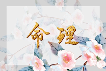 二婚命理测算_解读生辰八字_金匮八字神煞_排盘问真_身成八字解释